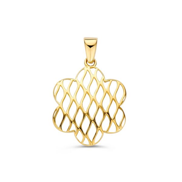 14 krt gouden Hanger geelgoud