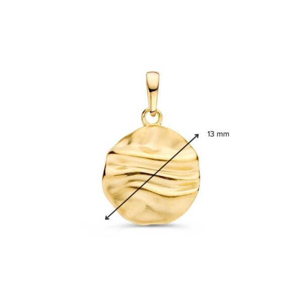 14 krt gouden Hanger geelgoud - Afbeelding 2