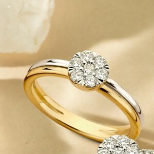 14 krt gouden Ring bicolor briljant 0.25 crt.