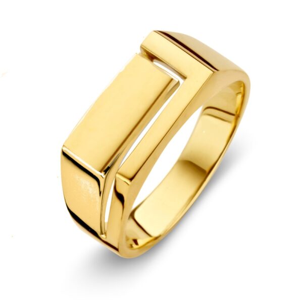 14 krt gouden Ring geelgoud