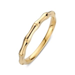 14 krt gouden Ring geelgoud