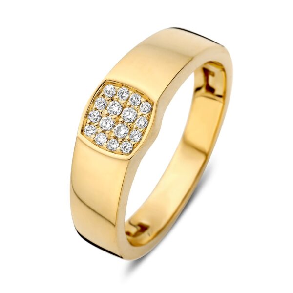 14 krt gouden Ring geelgoud briljant 0.12 crt.