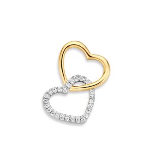 14 krt gouden Hanger bicolor zirkonia