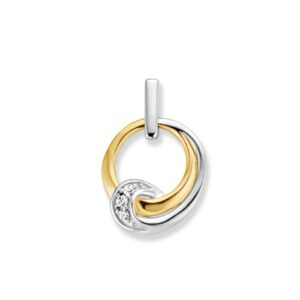 14 krt gouden Hanger bicolor zirkonia