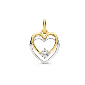 14 krt gouden Hanger bicolor zirkonia