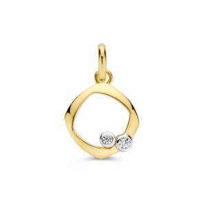 14 krt gouden Hanger bicolor zirkonia