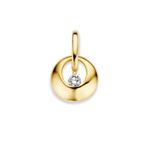 14 krt gouden Hanger geelgoud zirkonia