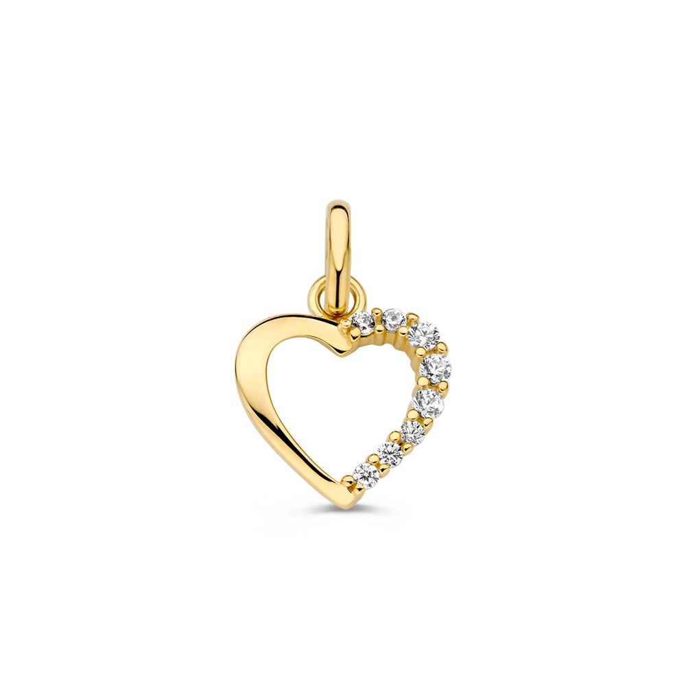 14 krt gouden Hanger geelgoud zirkonia