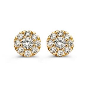 14 krt gouden Oorstekers geelgoud briljant 0,80 crt.