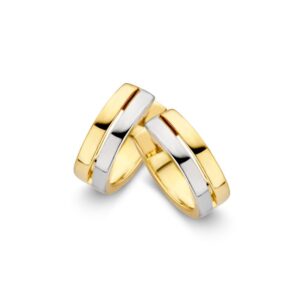 14 krt gouden Oorringen bicolor