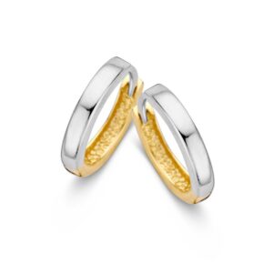 14 krt gouden Oorringen bicolor