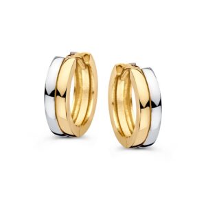 14 krt gouden Oorringen bicolor