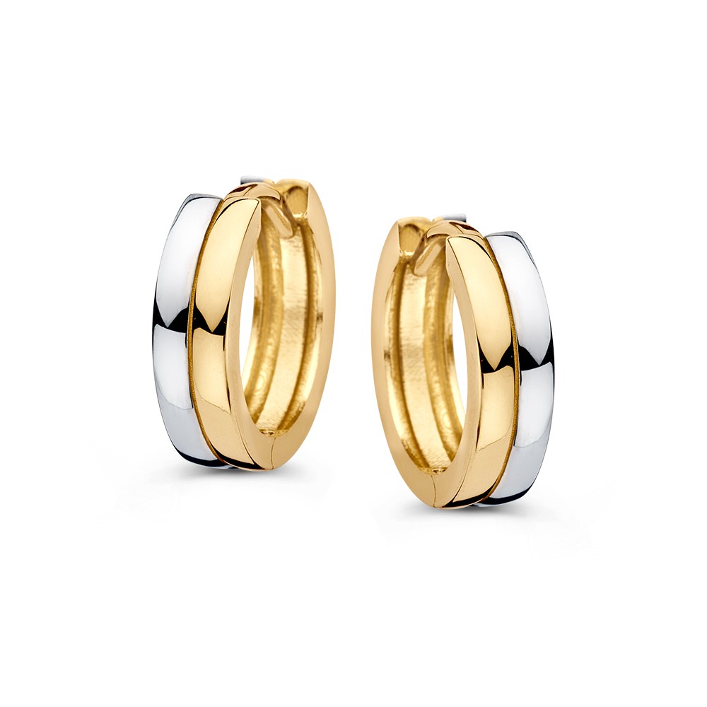 14 krt gouden Oorringen bicolor