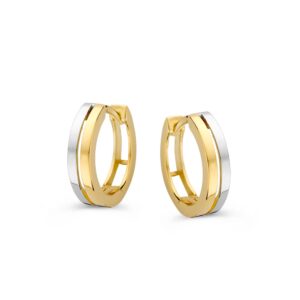 14 krt gouden Oorringen bicolor