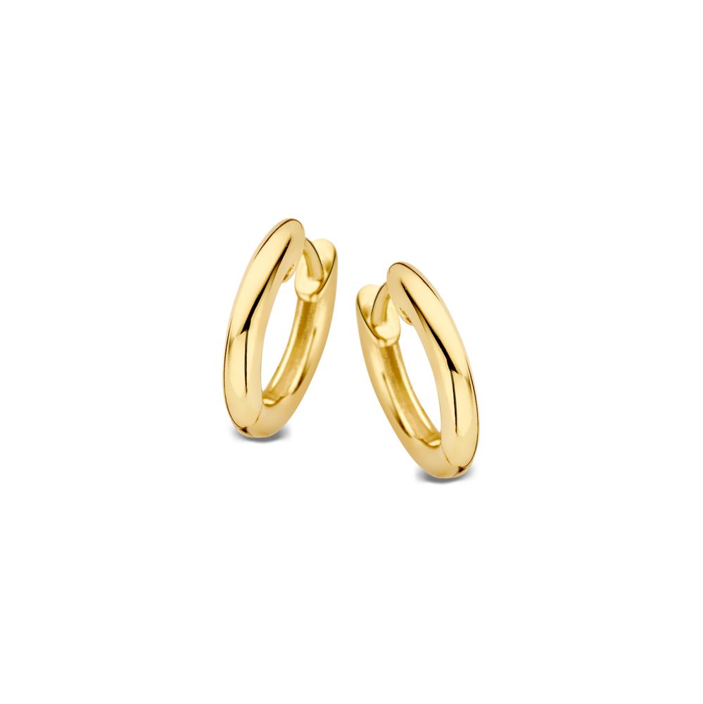 14 krt gouden Oorringen geelgoud