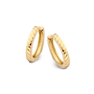 14 krt gouden Oorringen geelgoud