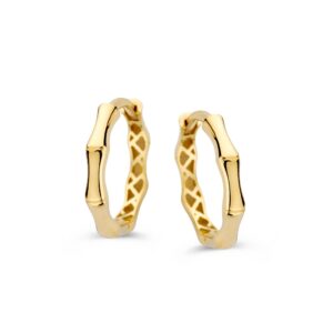 14 krt gouden Oorringen geelgoud