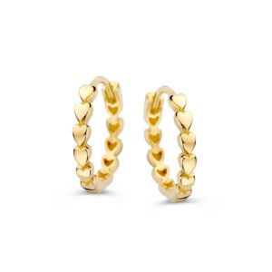 14 krt gouden Oorringen geelgoud
