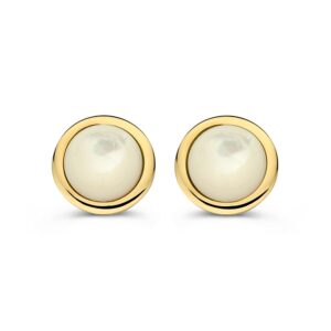 14 krt gouden Oorsteker geelgoud parelmoer