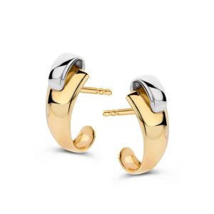14 krt gouden Oorstekers bicolor