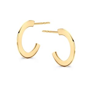 14 krt gouden Oorstekers geelgoud