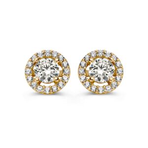 14 krt gouden Oorstekers geelgoud zirkonia