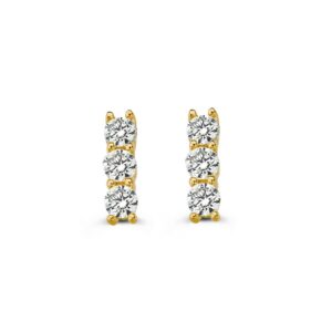 14 krt gouden Oorstekers geelgoud zirkonia