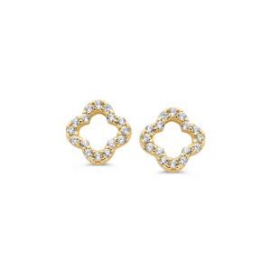 14 krt gouden Oorstekers geelgoud zirkonia