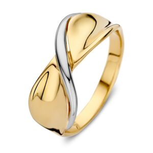14 krt gouden Ring bicolor