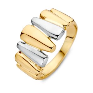 14 krt gouden Ring bicolor