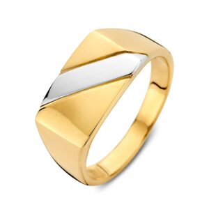 14 krt gouden Ring bicolor