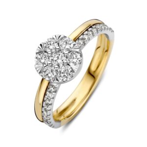 14 krt gouden Ring bicolor briljant 0.63 crt.