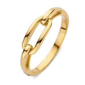 14 krt gouden Ring geelgoud
