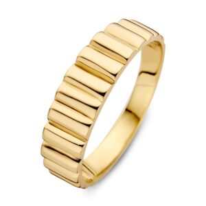 14 krt gouden Ring geelgoud