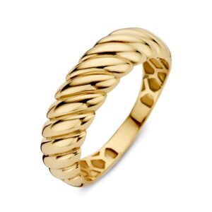 14 krt gouden Ring geelgoud