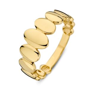 14 krt gouden Ring geelgoud