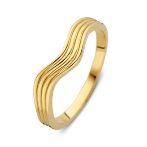 14 krt gouden Ring geelgoud
