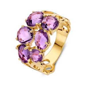 14 krt gouden Ring geelgoud amethist
