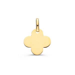14 krt gouden Hanger geelgoud