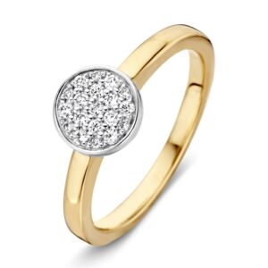 14 krt gouden Ring bicolor briljant 0.19 crt.