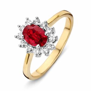 14 krt gouden Ring bicolor briljant + robijn