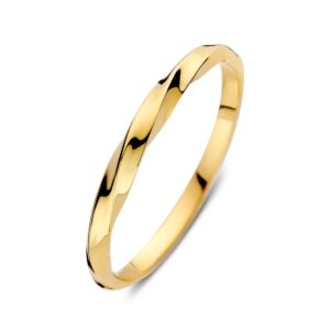 14 krt gouden Ring geelgoud